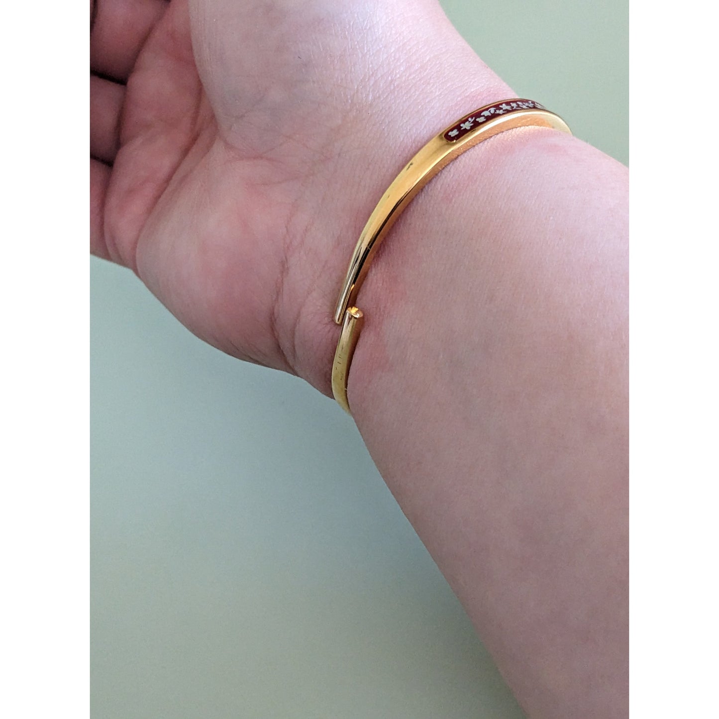 Andre Mouche Gold Tone Metal Bangle Concealed Watch Deep Red Enamel and Flowers