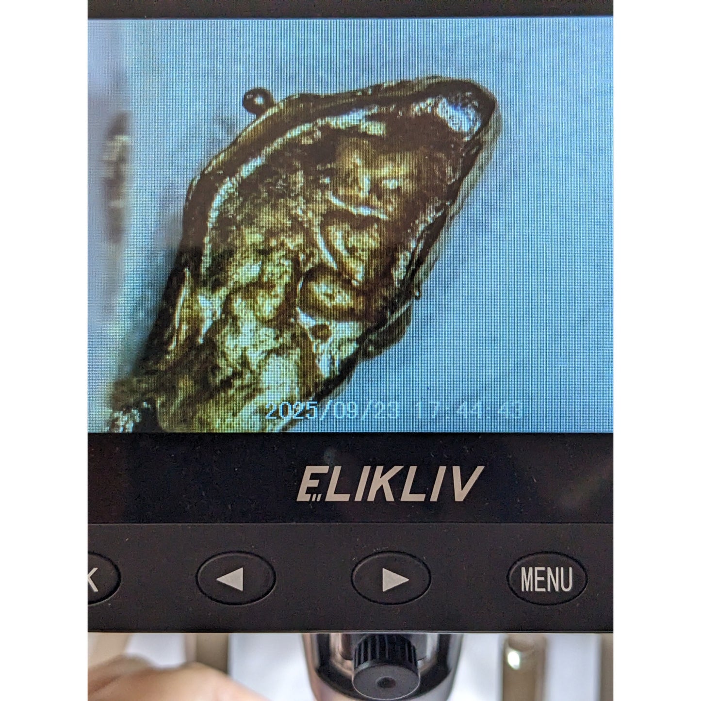 Vintage 14k Yellow Gold Dainty Rose Flower Charm Pendant