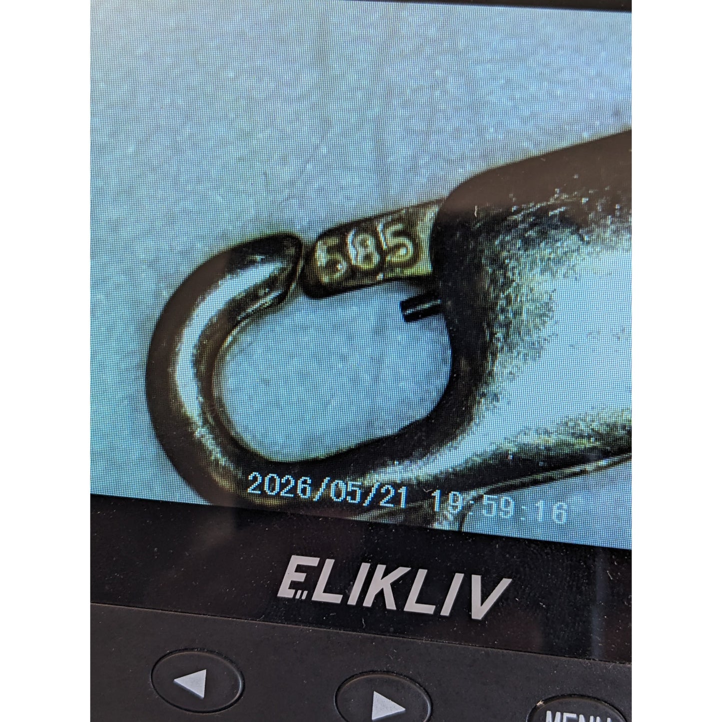 FLAW Estate 14k Yellow Gold 8.66mm VERY TINY Lobster Claw Trigger Clasp Finding