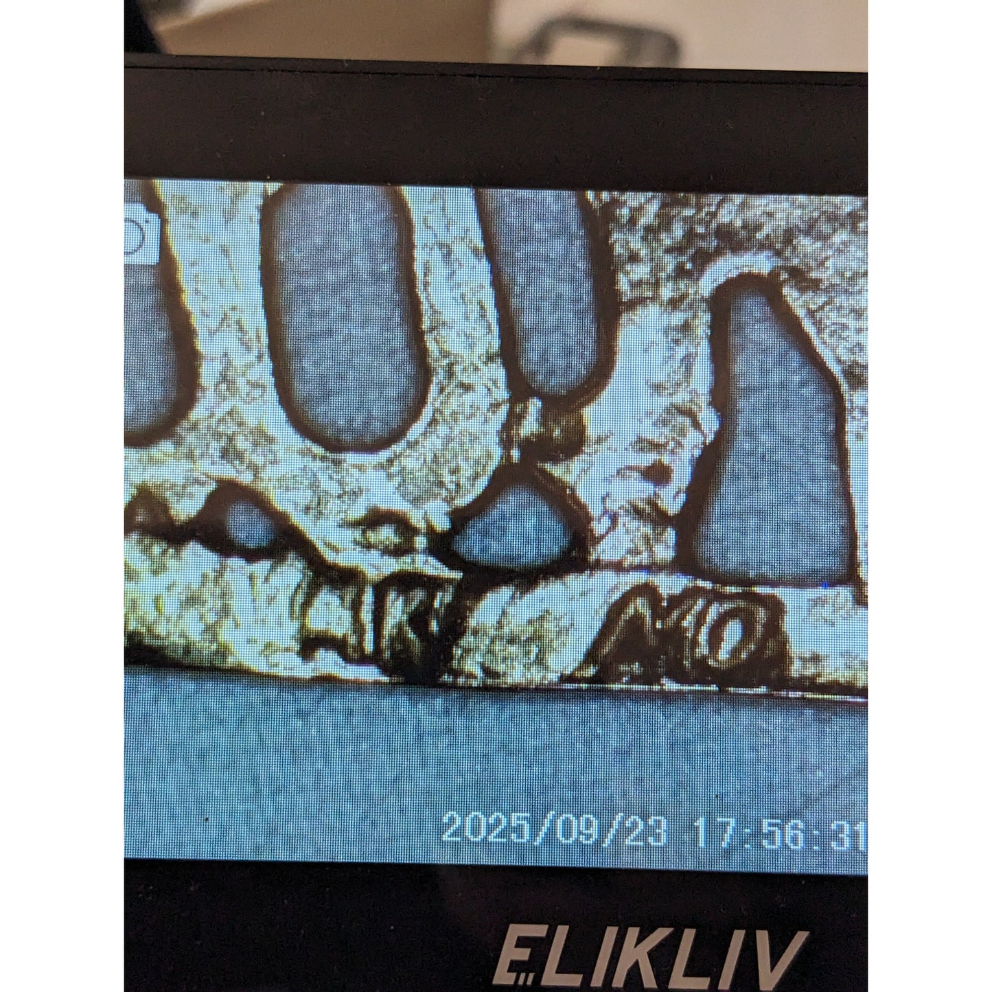 Vintage 14k Tri-Gold "Best Friend" Charm Pendant