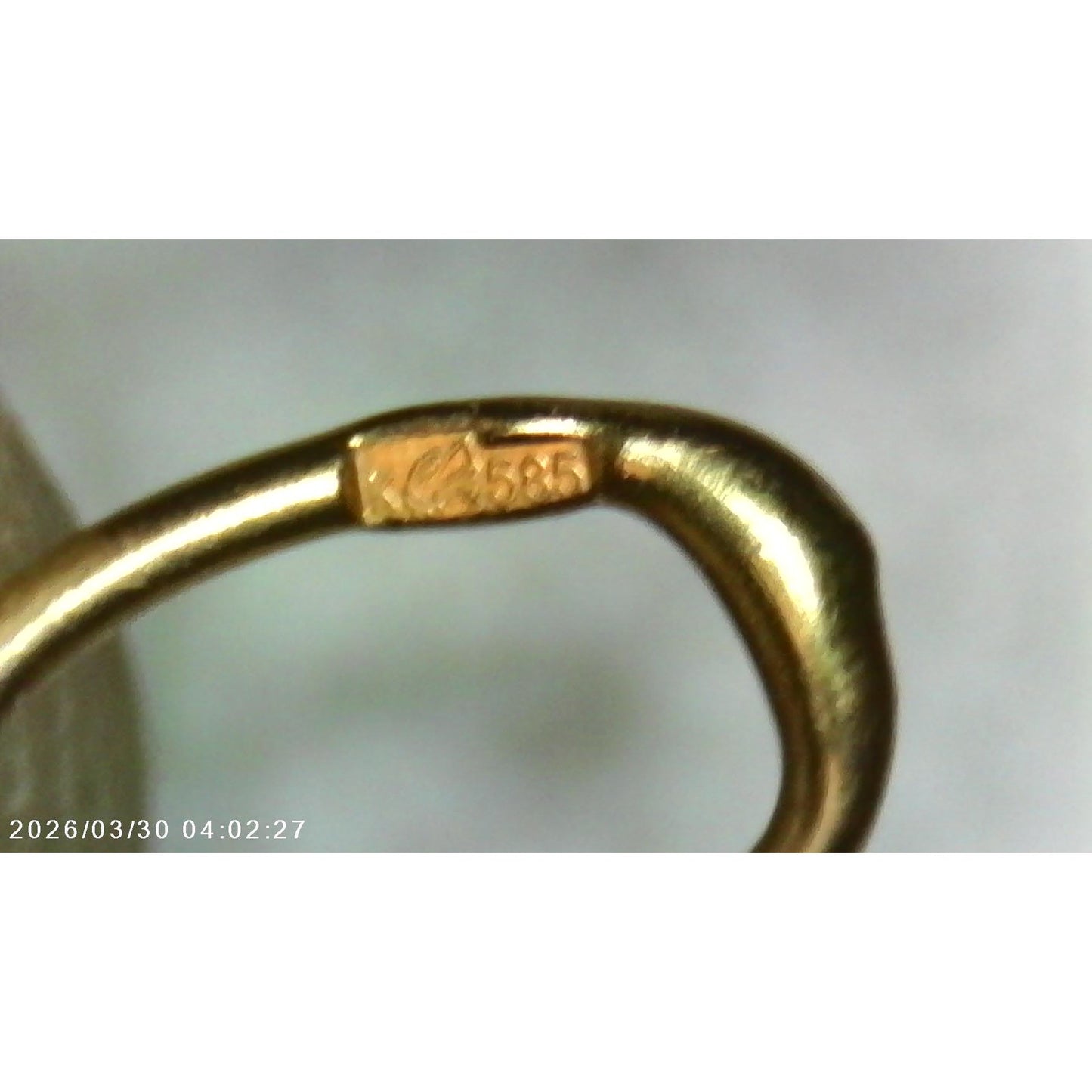Vintage 14k Rose and Yellow Gold Leo Zodiac Charm Pendant White Stone Accents