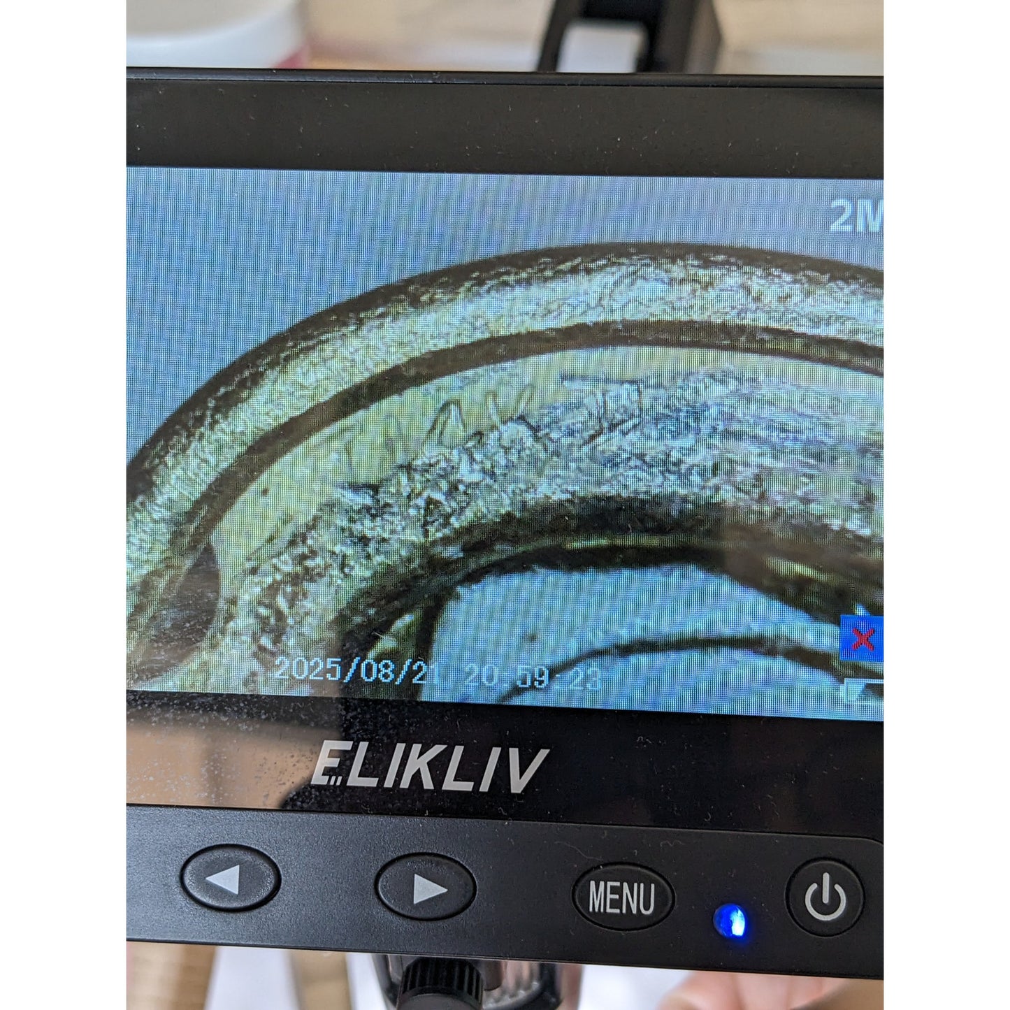 Vintage 14k Etched Heart and Leaves Mini Locket Pendant