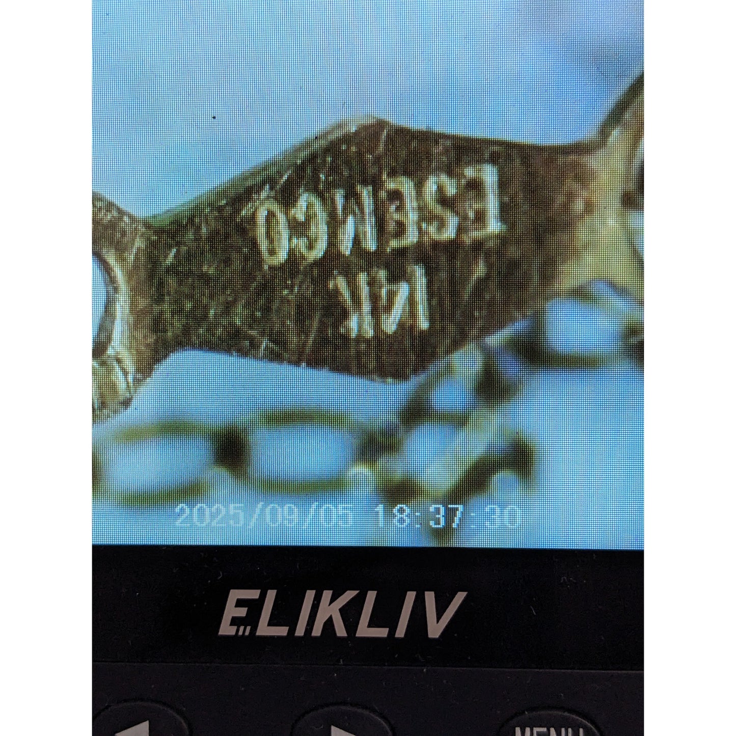 Vintage 14k Ultra Dainty Ring Charm with Necklace