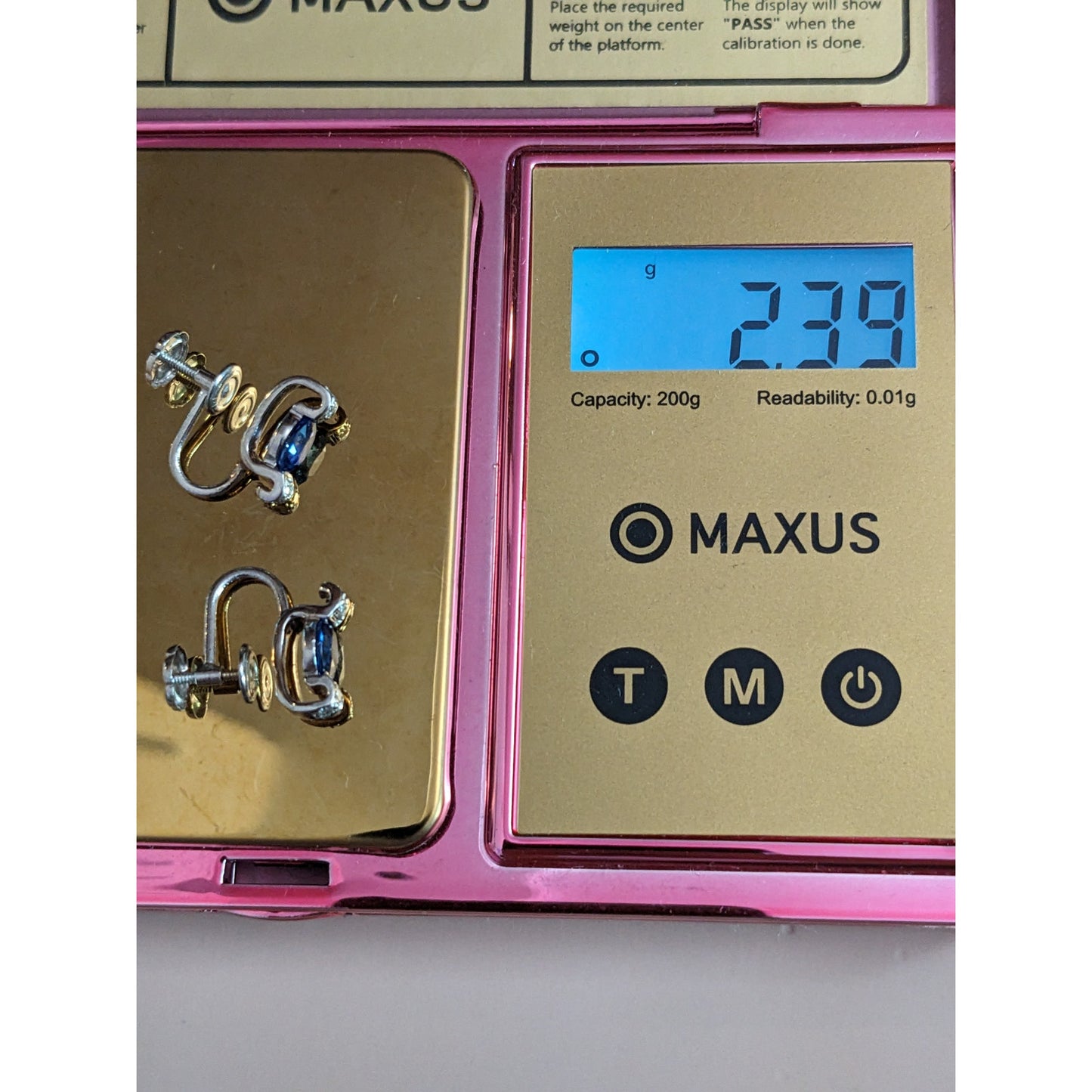 Estate 14k White Gold Screwback Earrings with Blue and White Gems