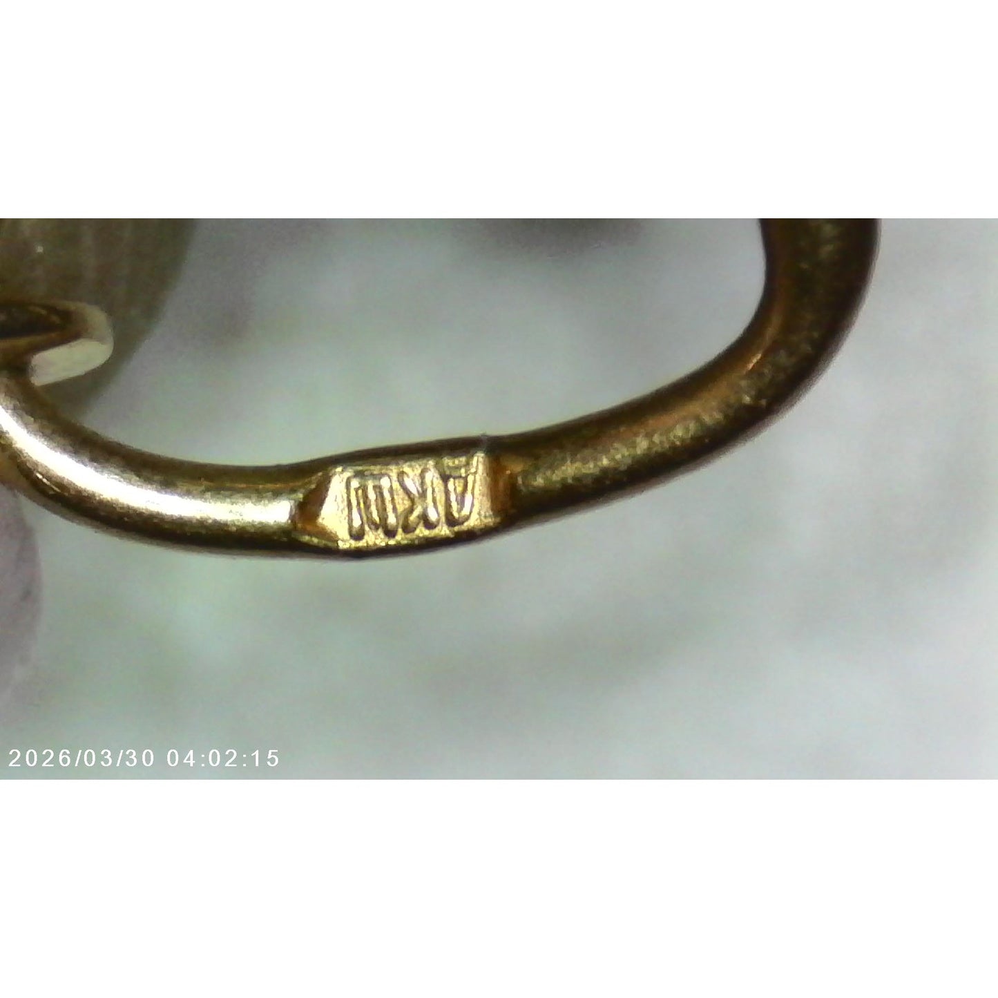 Vintage 14k Rose and Yellow Gold Leo Zodiac Charm Pendant White Stone Accents