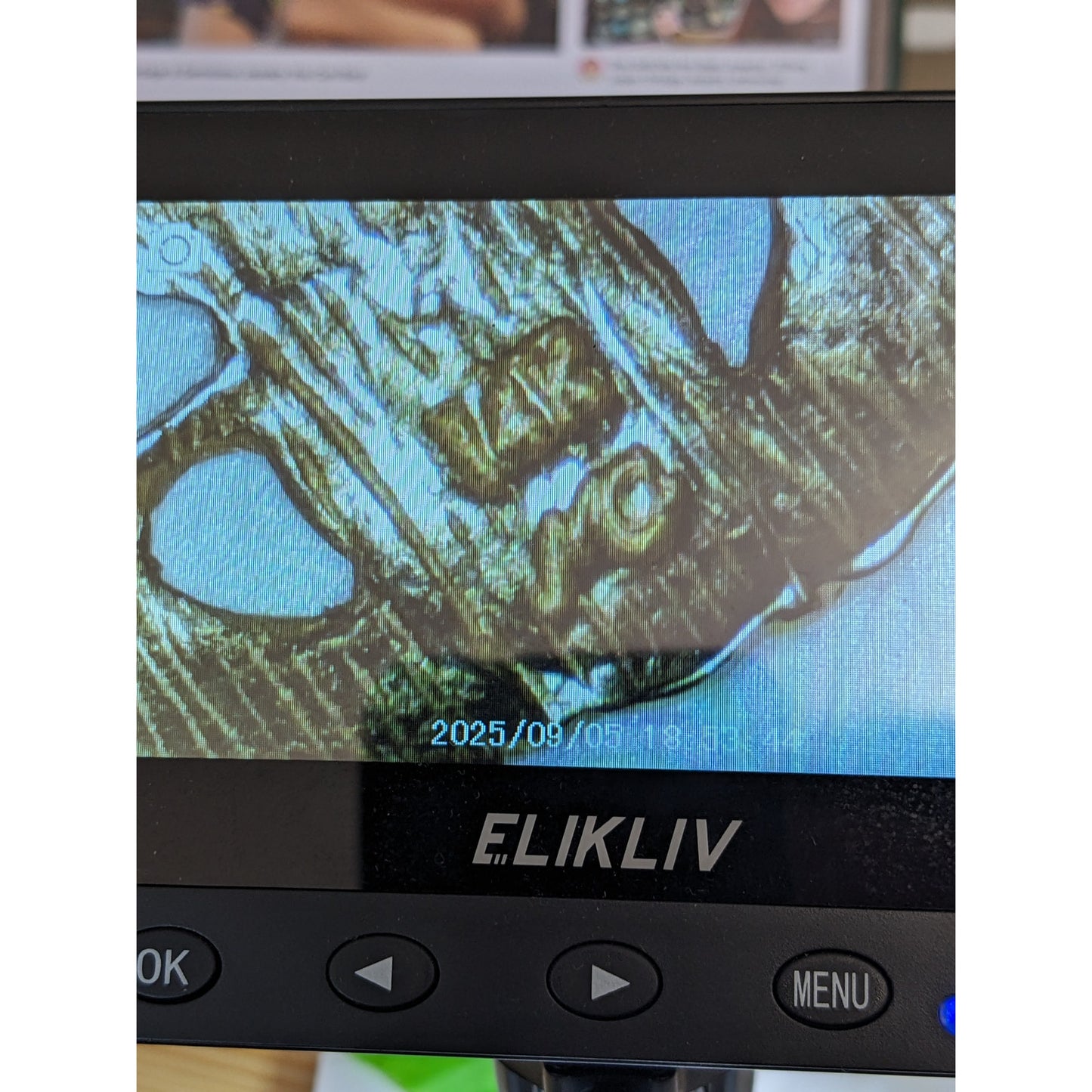 Vintage 14k Yellow Gold Claddagh Crown Heart Pendant